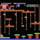 Donkey Kong Jr.
