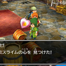 dqvii-09.jpg