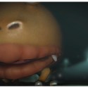Pikmin05.jpg