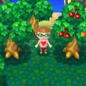 animal-crossing-new-leaf-04.jpg