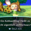 animal-crossing-new-leaf-09.jpg
