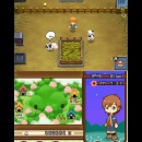 harvest-moon-tale-of-two-towns-ds-01.jpg