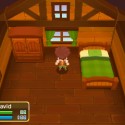 14_3DS_Flint_Attic_PR_DE.bmp