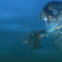 monster3-ultimate-6.jpg
